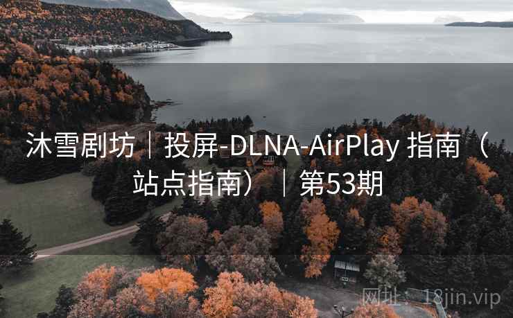 沐雪剧坊｜投屏-DLNA-AirPlay 指南（站点指南）｜第53期