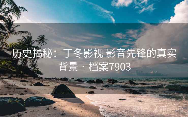 历史揭秘:丁冬影视 影音先锋的真实背景 · 档案7903