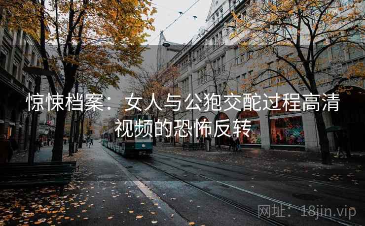 惊悚档案:女人与公狍交酡过程高清视频的恐怖反转